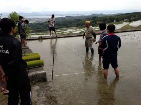 20130520komekentaue2.jpg