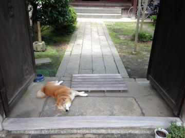 20130706otsu1.jpg