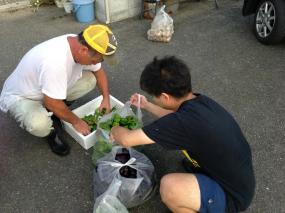 20130806kitafunaji1.jpg