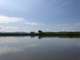 20140609genti3.jpg