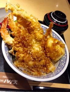 20140610tendon.jpg