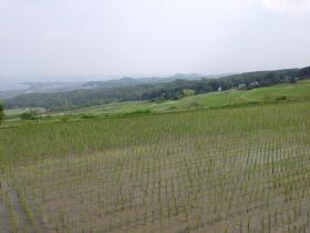 20140616kitafunaji8.jpg