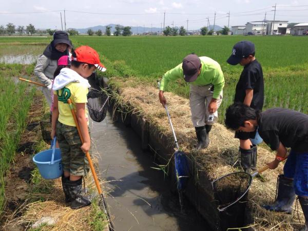 20140621yurikago2.jpg