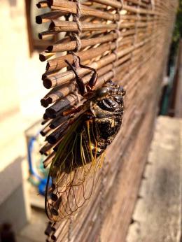 20140912semi.jpg