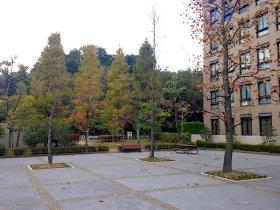 20141105seta2.jpg