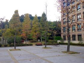 20141105seta2.jpg