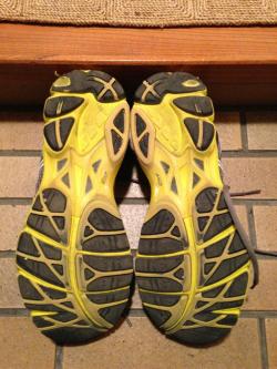 20150216runningshoes.jpg