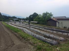 20150605kitafunaji8.jpg