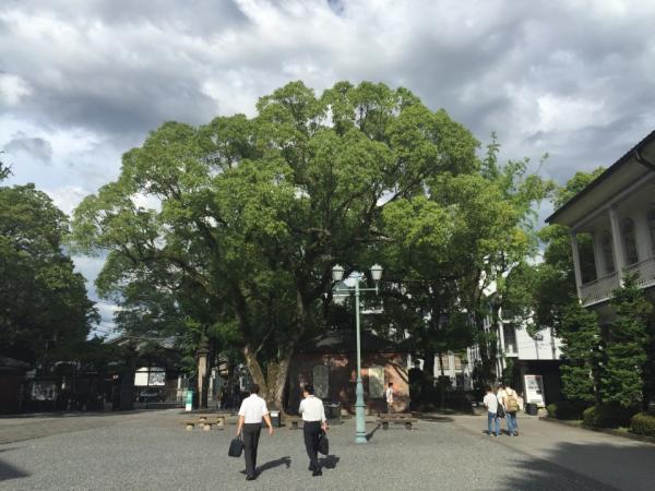 20150715ohmiya2.jpg