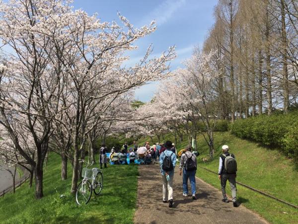 20160409senior2.jpg