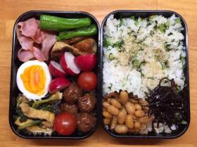 20160421bento1.jpg