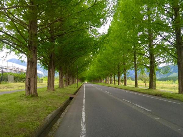 20160503biwako2.jpg