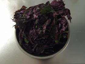 20160818shiso2.jpg