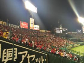 20160915carp1.jpg