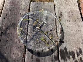 20210118garden-ice2.jpg
