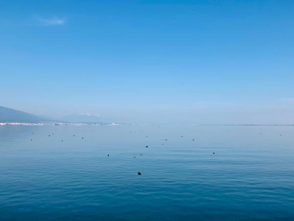 20230112lakebiwa.jpg