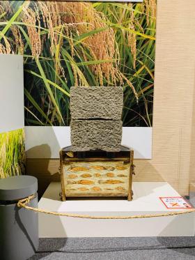 20230903funazushi.jpg