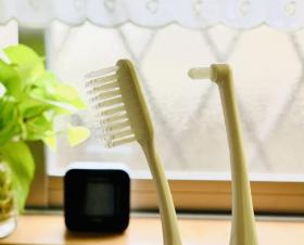 20240501toothbrush.jpg