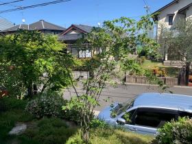 20240509mygarden3.jpg