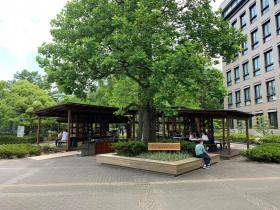 20240608seta_campus1.jpg