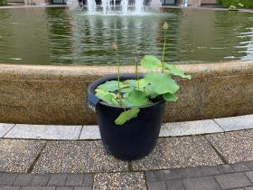 20240608seta_campus5.jpg