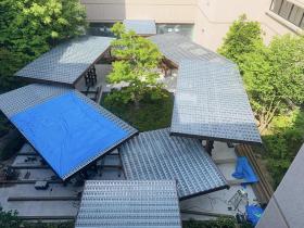 20240611green_deck10.jpg