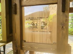20240611green_deck2.jpg