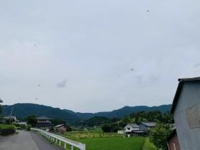 20240627ohgi7.jpg