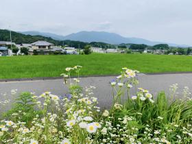 20240627ohgi8.jpg