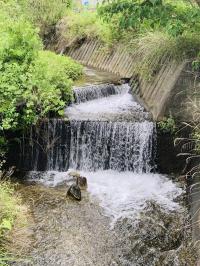 20240627ohgi9.jpg