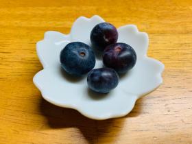 20240711blueberry.jpg