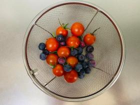 20240722mygarden3.jpg