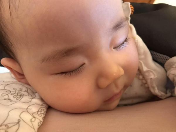 20240821hinachan.jpg