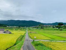 20240828walking1.jpg