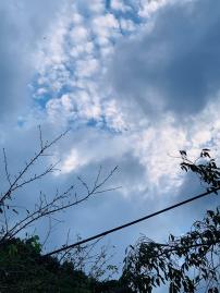 20240831walking4.jpg