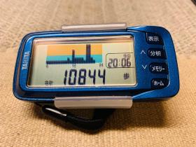 20240831walking6.jpg