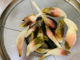 20240930mygarden6.jpg
