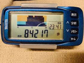 20241007walking55km_14.jpg
