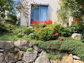 20241009mygarden1.jpg