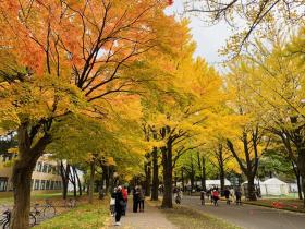 20241029hokudai3.jpg