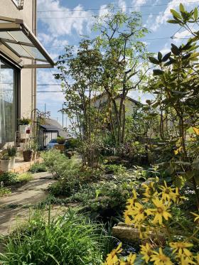 20241107mygarden3.jpg