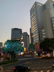 20241202kitanakaayoko2.jpg