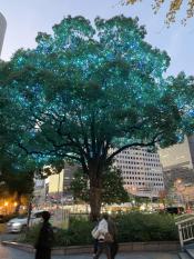 20241202kitanakaayoko3.jpg