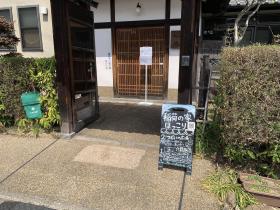 20250408sakura7.jpg