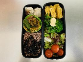 20250411lunchbox.jpg