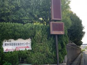20250731temperature.jpg