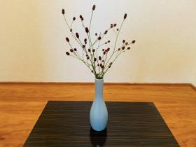 20250927mygarden5.jpg