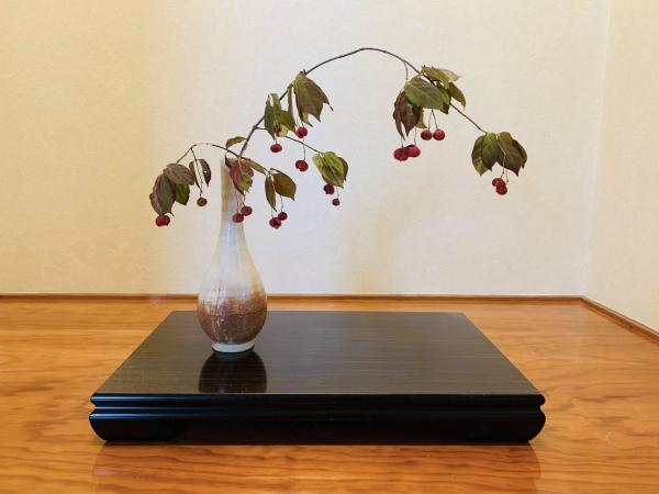 20251012mygarden1.jpg