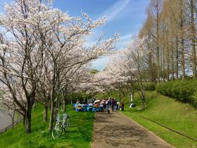 20260327sakura2.jpg