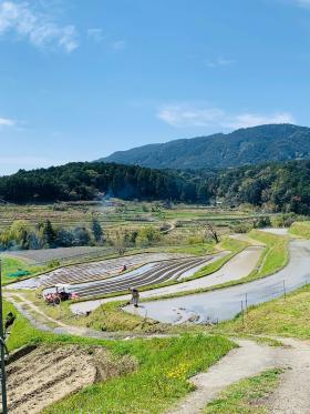 20260412oginoipponzakura3.jpg